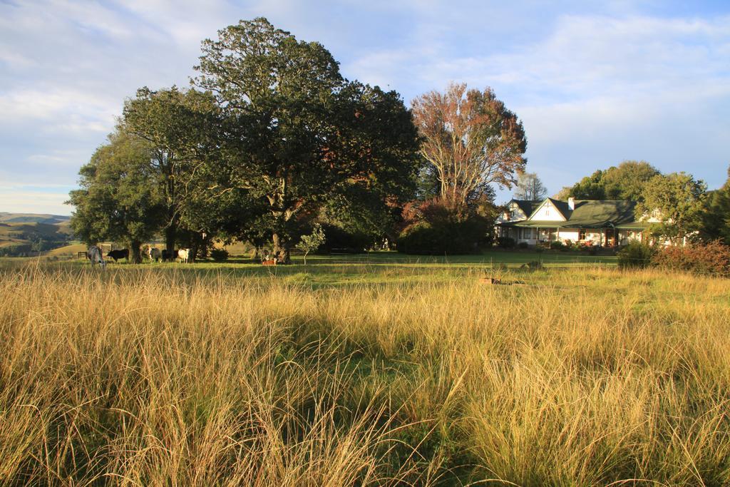 Beverley Country Cottages Dargle Buitenkant foto